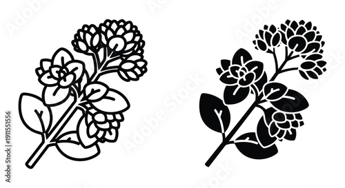 Hand drawn black and white lilac flowers branch sketch vector illustration isolated on white background