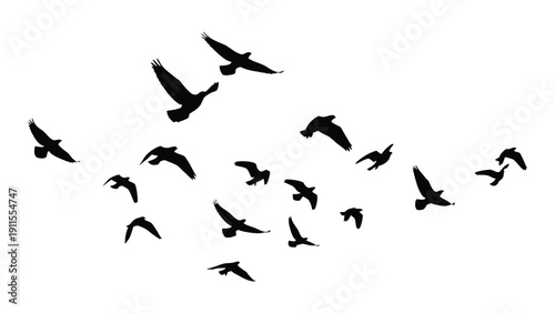 A flock of birds flying in a clear sky with a sense of freedom and unity. Vector