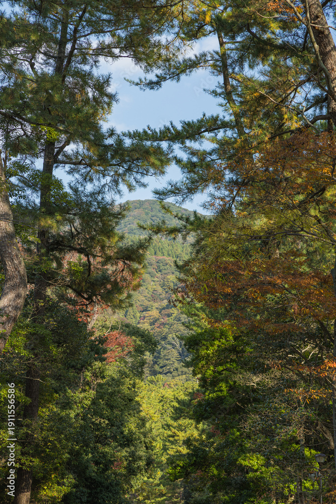 Obraz premium 日本 島根県出雲市大社町にある出雲大社の境内の風景