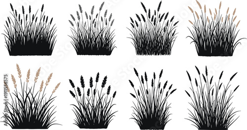 Collection of various grass illustrations in black pots displayed against a plain background from a straightforward viewpoint