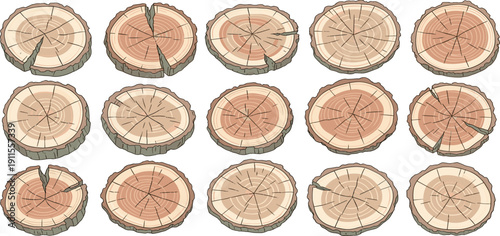 Collection of tree stump cross-sections displayed in a grid pattern showcasing wood grain and texture from various trees