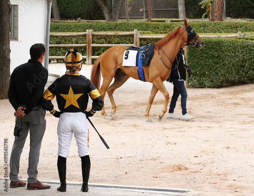Tableau sur toile Jockey, caballo y preparador en ensilladero de hipódromo antes de la carrera