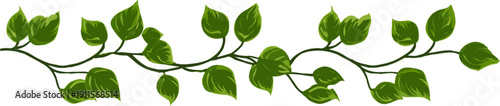 Vine with green leaves for decoration, simple flat design isolated on a white background