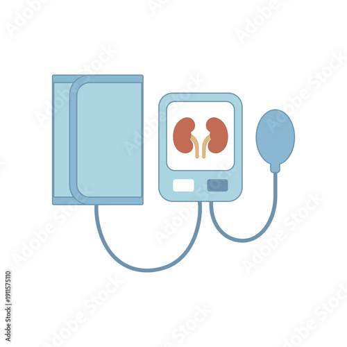 Blood pressure monitor with kidneys