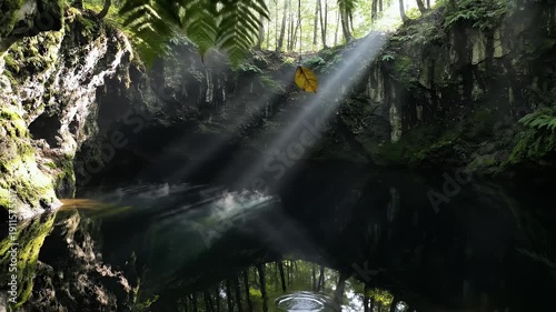 A sun-dappled cave interior with a reflective, misty pond. Lush ferns overhang. Sunbeams break through