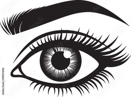 Closeup of a human eye with long eyelashes and eyebrow  eye makeup