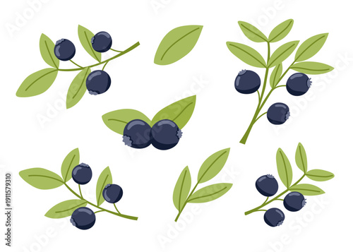Set of blueberries isolated on white background. Vector flat cliparts.