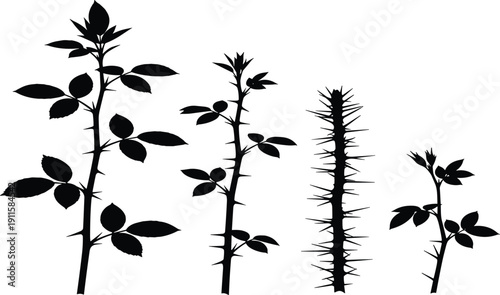 Black and white thorny rose stem silhouettes set, prickly briar branches with sharp thorns and leaves, botanical nature flat vector study icons