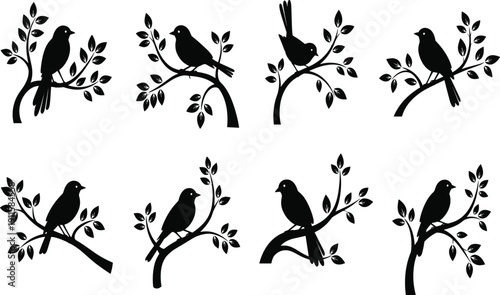 Black and white songbird silhouettes set, small birds perched on leafy tree branches collection, spring nature wildlife flat vector icons for design