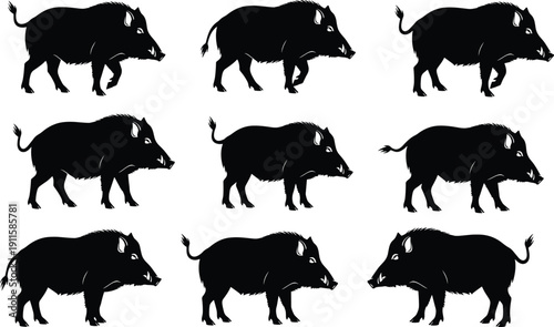 Black wild boar silhouette collection with walking pigs and swine elements, cad drawing flat vector illustration, isolated on white background, hunting set
