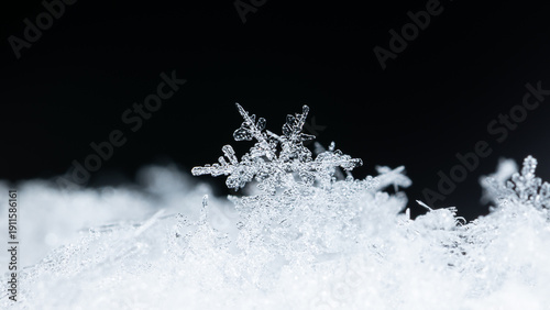 winter photo of snowflakes in the snow