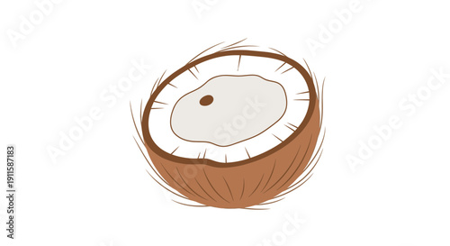 A simple illustration of a halved coconut with its white interior and brown shell.