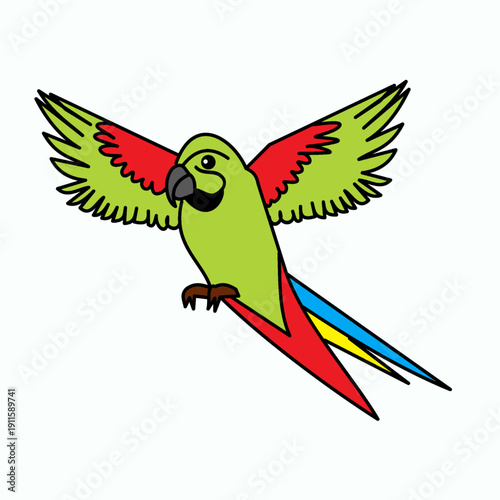 parrot p for parrot bird drawing flying clipart element