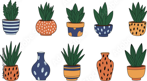 A set of potted cactus and succulent plants including aloe and agave species isolated on a white background for nature-themed home decoration