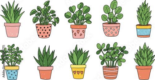 Isolated set of fresh potted plants and flowers with green leaves, rosemary herbs, and a small tree growing in terracotta soil pots against a white background for nature and gardening