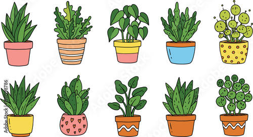 A fresh set of potted houseplant greenery and blooming flowers featuring rosemary herbs and a desert cactus isolated on white for home gardening and botany growth