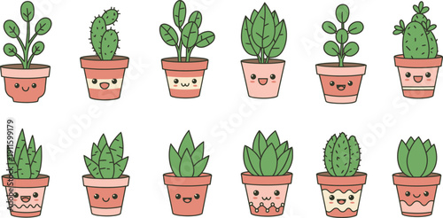 Isolated set of potted houseplants and garden flowers with green leaves and growing rosemary herbs in white flowerpots for nature and botany growth