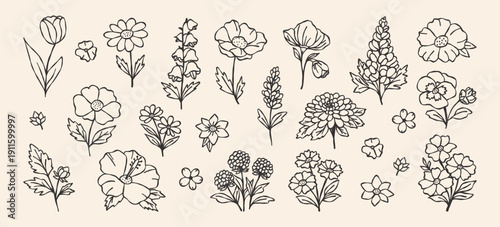 Grunge minimal abstract flowers hand drawn brush stroke. Sketch hand drawn silhouette floral plant, leaf. Trendy vector illustration. Floral silhouette elements for scrapbooking design.