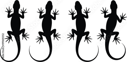 Black gecko lizard silhouettes set in different poses isolated on white background wildlife vector illustration collection