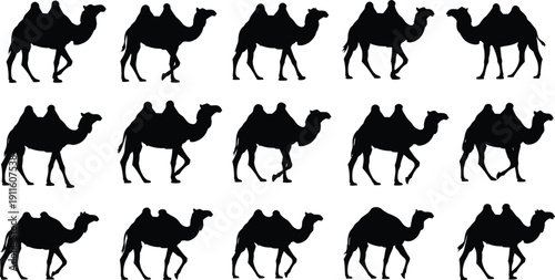 Bactrian Camel Silhouette Set Featuring Two Humped Camels Walking in Desert Caravan for Middle East Safari and Wildlife Travel Graphics, cad drawing flat vector illustration