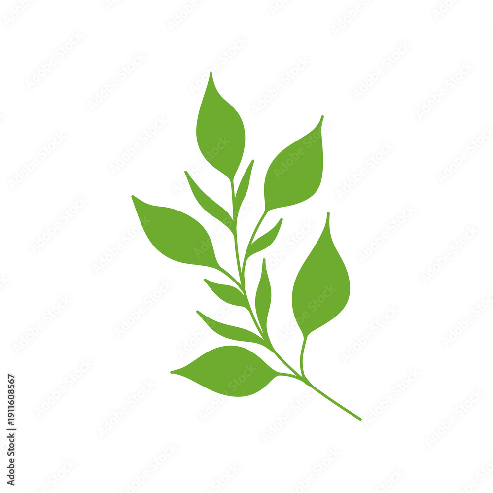 Fototapeta premium Fresh Green Leaves Stem Botanical Vector