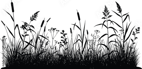 Black Meadow Grass Silhouette with Wildflowers Reeds and Field Plants Isolated on White Background for Nature Landscape Design, cad drawing flat vector illustration