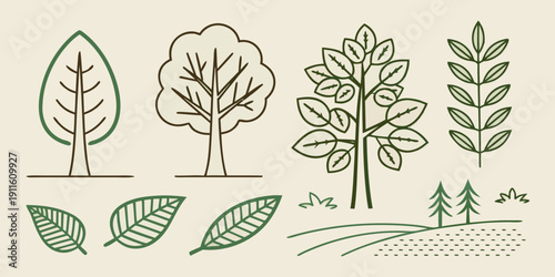 A detailed illustration of various types of trees and their leaves Vector