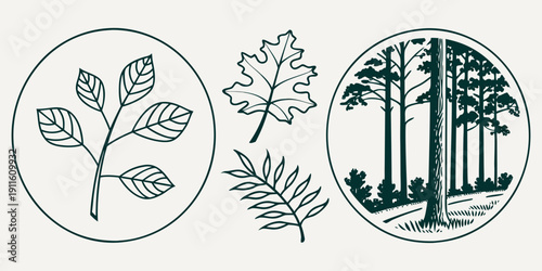 A collection of intricate botanical illustrations showcasing various plant species Vector