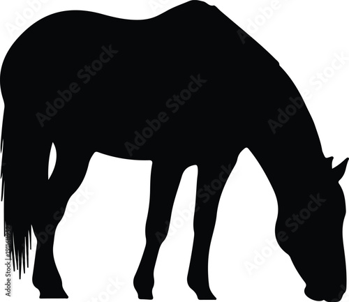 Black silhouette of a horse grazing on white background