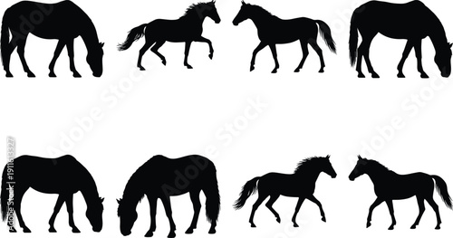 Set of horse silhouettes in varied poses and activities
