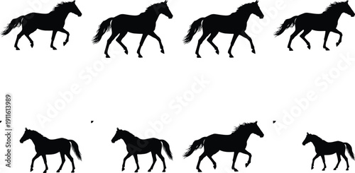 Group of horse silhouettes showing movement and form