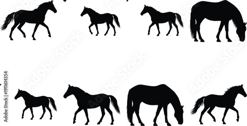 Set of black horse silhouettes in various poses