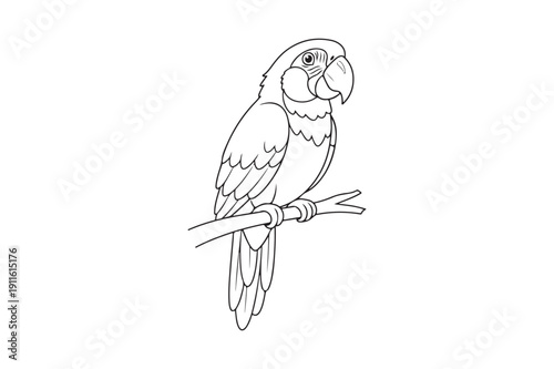 Cute Parrot Coloring Page Vector for Kids and Adults, Parrot Coloring page vector illustration