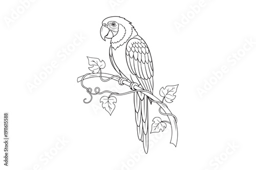 Cute Parrot Coloring Page Vector for Kids and Adults, Parrot Coloring page vector illustration