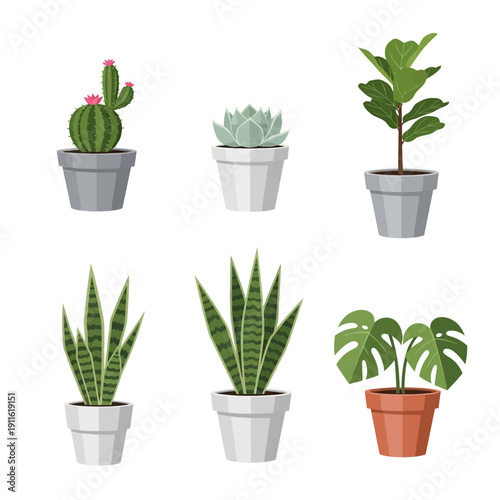 Collection of potted houseplants: cactus, succulent, snake plant, fiddle leaf fig, monstera