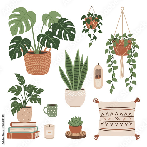 Cozy Boho Home Decor: Hanging Plants, Books, Pillow, Candle, and Succulent