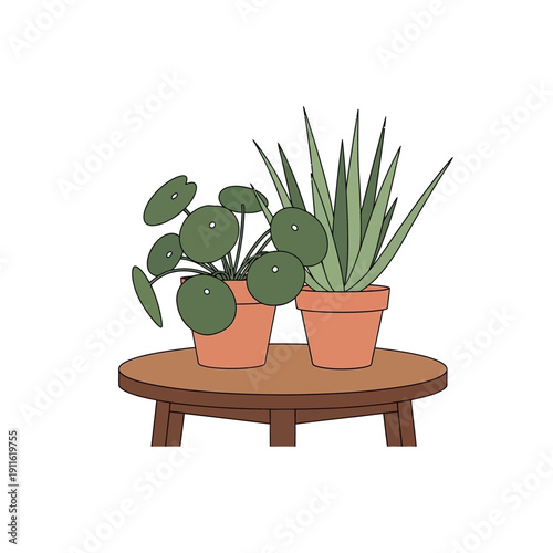 Two potted houseplants, a Chinese money plant and an aloe vera, on a wooden table.