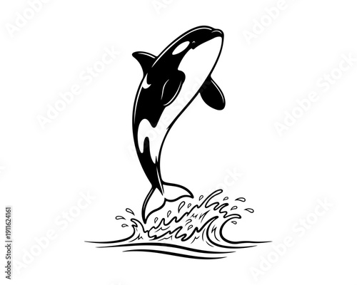Killer Whale Jumping Out of Water Black and White Illustration