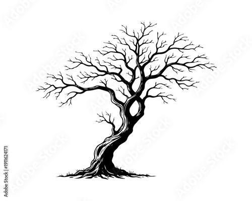 Detailed black and white bare tree drawing with twisted trunk and branches