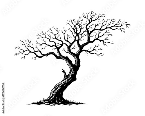 Detailed Bare Tree Silhouette Black and White Line Art Drawing