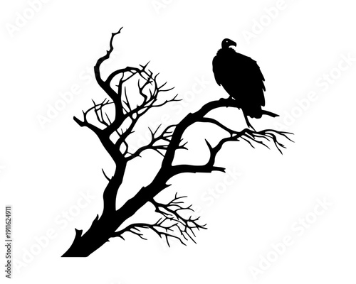 Vulture Silhouette Perched on Dead Tree Branch Isolated on White