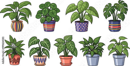 Potted houseplants, indoor plants, leaf variety, decorative pots, home decor, botanical collection, green foliage, stylish planters, modern interior, plant lovers