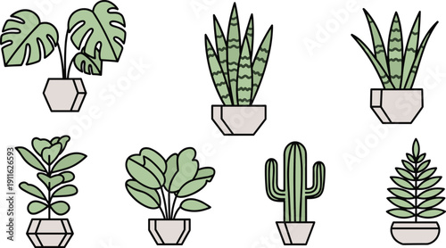 Cartoon houseplants, potted plants, cactus, foliage illustration, indoor greenery, decorative pots, botanical art, simple design, muted tones, home decor