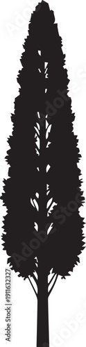 Large evergreen conifer tree silhouette vector illustration isolated on transparent background