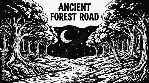 night ancient forest road landscape black and white with bright moon and visible stars across dark tree horizon showing historic stone path and celestial astronomy galaxy environment