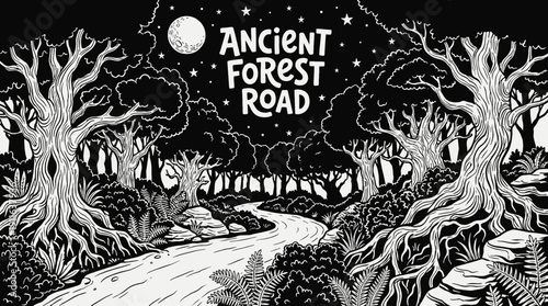 night ancient forest road landscape black and white with bright moon and visible stars across dark tree horizon showing historic stone path and celestial astronomy galaxy environment