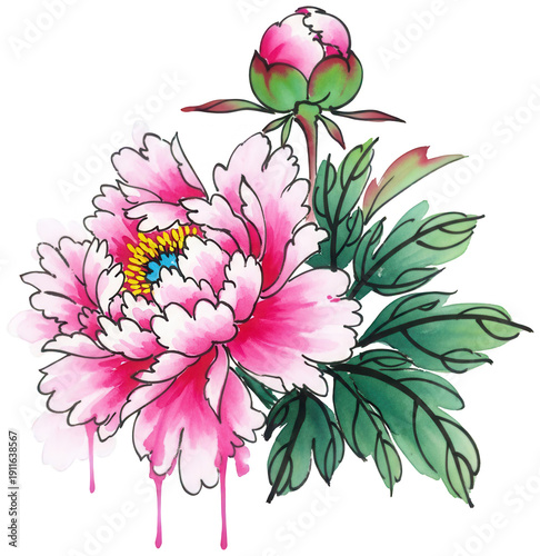 Pink Peony png Watercolor Flower cutout Chinese Peony png Artistic Blossom cutout Hand Drawn Peony png Floral Illustration cutout Pink isolated transparent background image