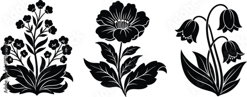 Stylized flowering plant silhouettes, decorative botanical vector illustration, elegant floral artwork, nature-inspired design elements for creative themes