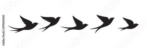 Swallow, martlet. Clear white sky, birds in a natural habitat. Barn swallow flying, wings spread. Hirundo rustica on white background. Wildlife. Tattoo design, watercolor art, set, wild animals, free