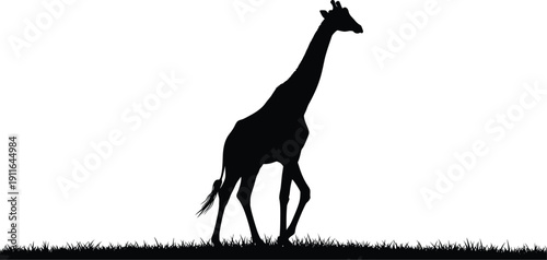 Giraffe silhouette walking on grassland terrain outdoor scenery viewed from side